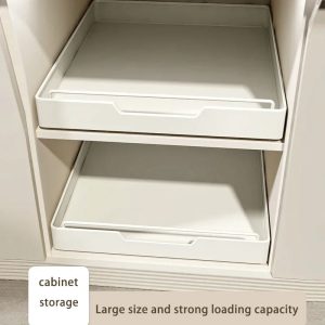 Best Adjustable Spice Rack on AliExpress in 2026