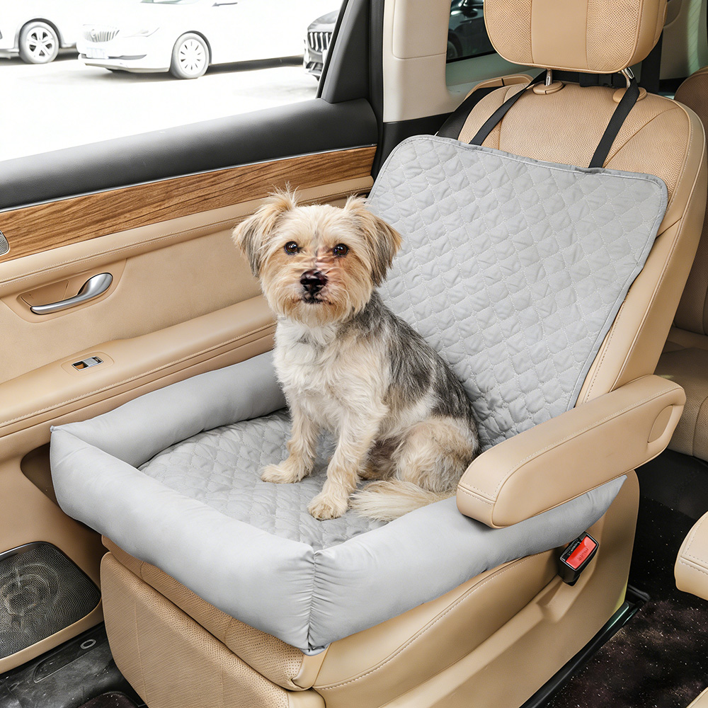 Foldable Car Pet Ramp on AliExpress: Best Deals & Reviews (2026)