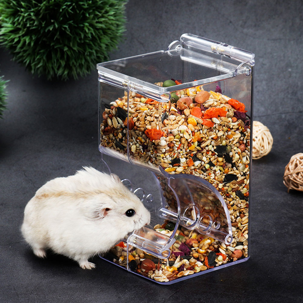 Best Automatic Pet Feeder on AliExpress in 2026