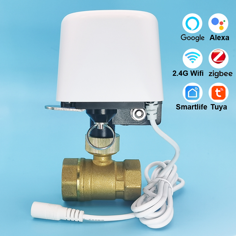 Best Smart Home Irrigation Controller on AliExpress in 2026
